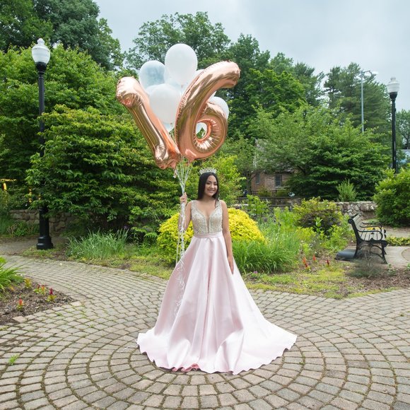 JOVANI  Blush Embellished Bodice A-Line Prom Gown - Picture 9 of 11